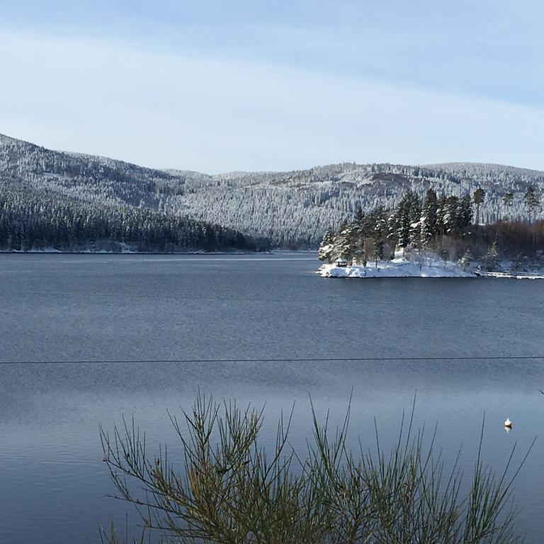 Apartment Haber Schluchsee