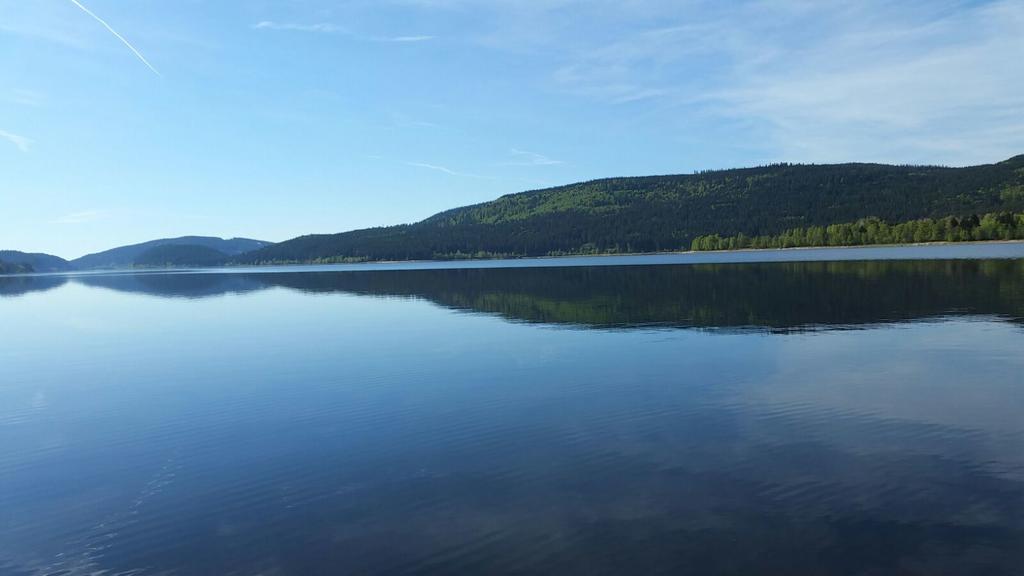 Haber Apartment Schluchsee