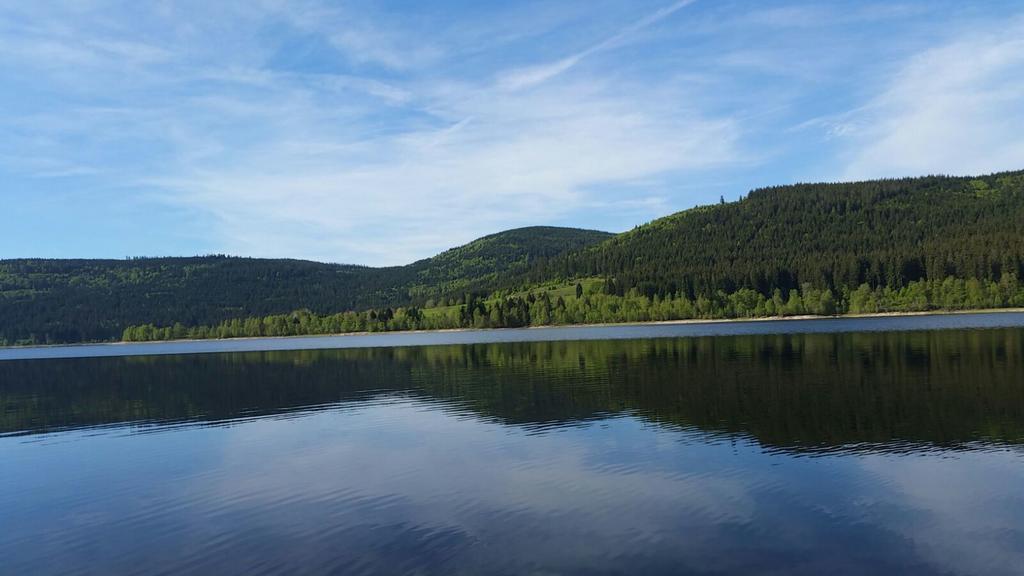 Haber Schluchsee